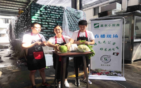 創(chuàng  )意直播帶貨,本期專(zhuān)欄：蘭州高原夏菜！