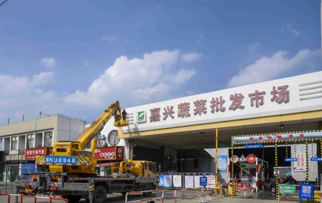 進(jìn)無(wú)止境，“嘉農?蔬菜人”