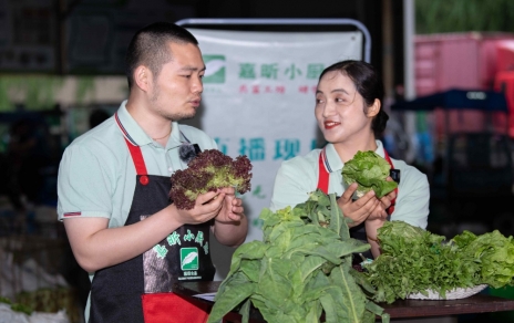 千金如玉，一口清心--生菜?油麥菜?萵筍直播專(zhuān)場(chǎng)